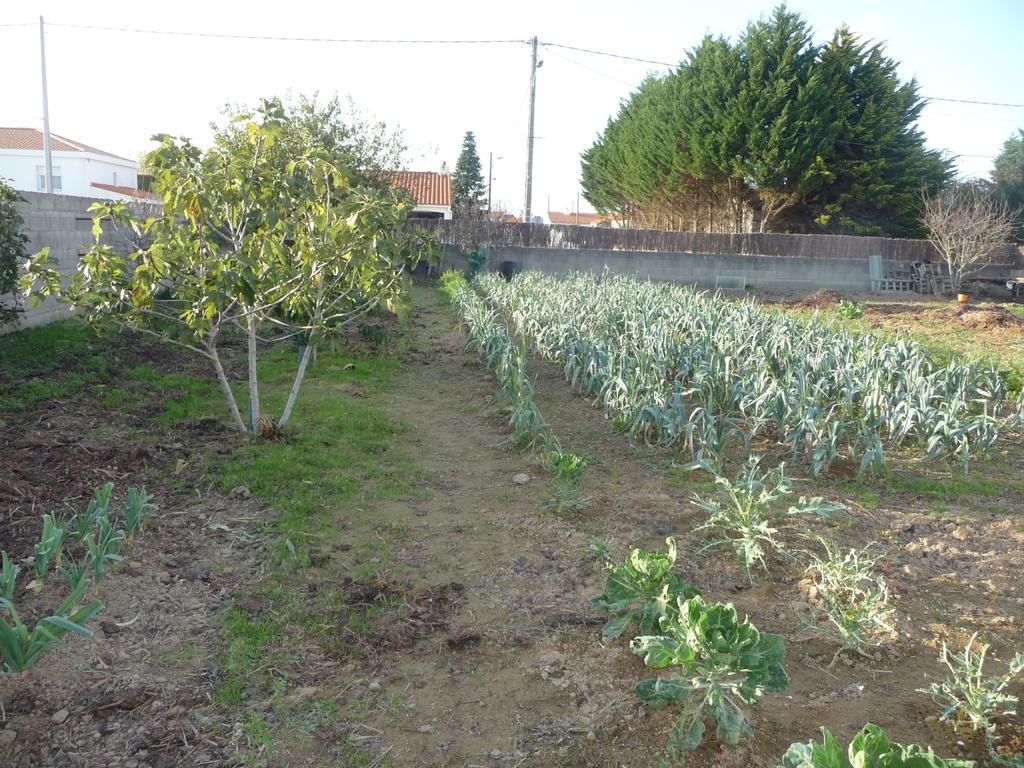 Chambre D'Hote Fleur De Potager Les Sables-dʼOlonne Exterior foto