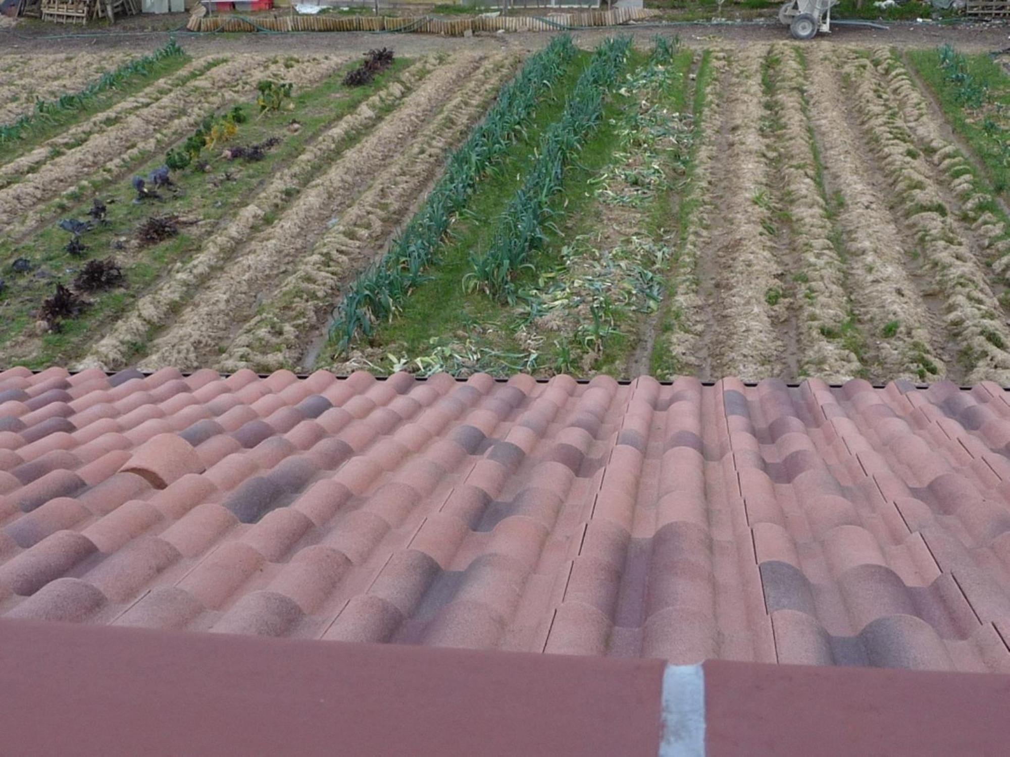 Chambre D'Hote Fleur De Potager Les Sables-dʼOlonne Exterior foto